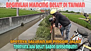 MANCING BELUT DI SUNGAI PINGGIR JALAN DAPAT BELUT BABON screenshot 2