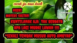 best of the best masteran murai batu kuntilanak,lebih seram dari asli nya