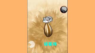 Hamster Life 第三集 仓鼠的日常 screenshot 5