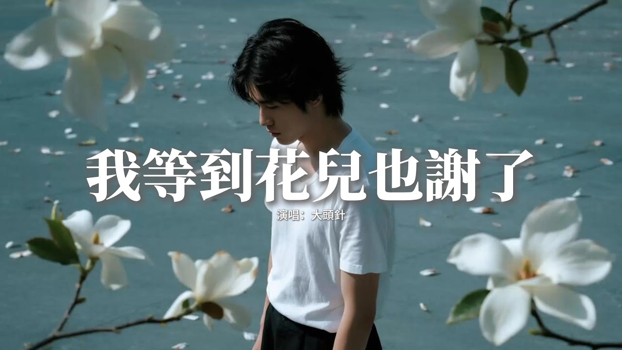 大頭針 - 我等到花兒也謝了『我睡不著的時候，會不會有人陪著我，我難過的時候，會不會有人安慰我。』【動態歌詞MV】