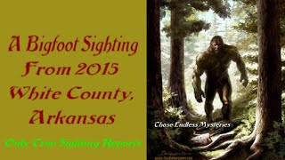 A Bigfoot Sighting From 2015 Arkansas