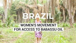 Brazil’s Warrior Women - A Women’s Grassroots Movement for Access to Babassu Oil