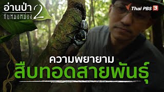 ความพยายามสืบทอดสายพันธุ์ | อ่านป่ากับหมอหม่อง ปี 2