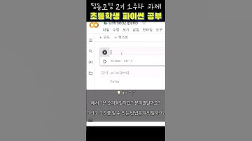 초등 파이썬 기초 공부 (1) - print, type 함수 활용 | 띵동코딩 1주차 복습