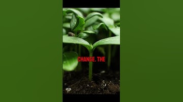 Power of Choice - Act Now to Save the Planet! 🌍 #shorts