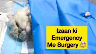 Izaan Ki Surgery karni pari emergency me  | Male Cat neutering