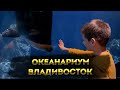 Океанариум во Владивостоке отличное место для отдыха с детьми. Влог с детьми, экскурсия.