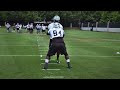 Carolina Panthers tight end key reads: Defensive ends