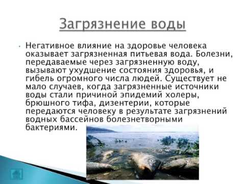 Влияние окружающей среды на здоровье человека Исмаилов Павел