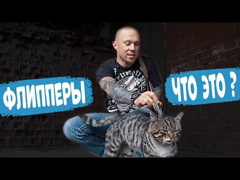 Видео: 6 лучших флиппер-ножей для повседневной носки