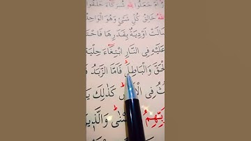 سورة الرعد الأية 17 القارئ سعد الغامدي