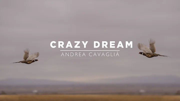Crazy Dream | Driven Shooting in America