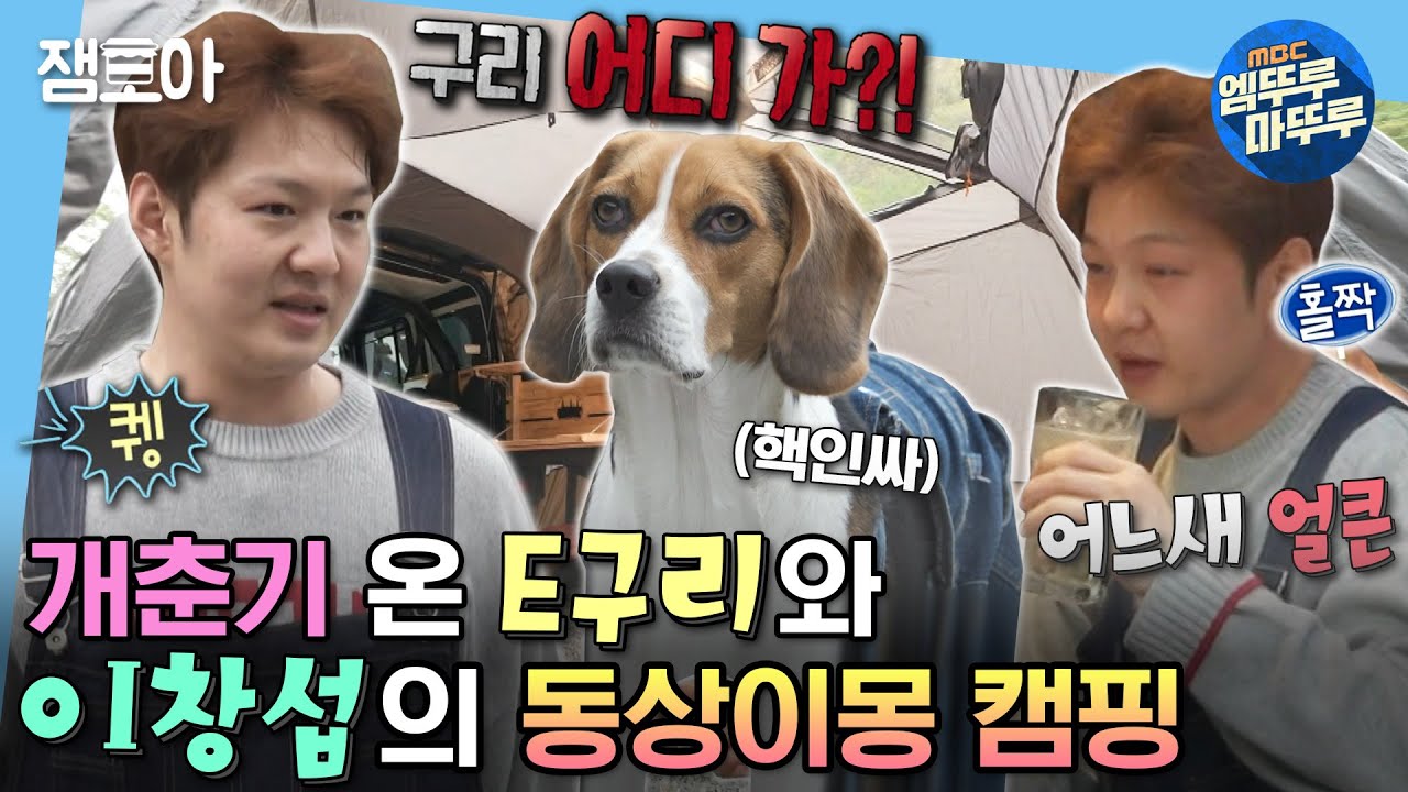 [#나혼자산다] 낯가리는 아빠와 달리 핵인싸 구리웨이 E구리와 I창섭의 우당탕탕 캠핑 여행🏕 | #이창섭 #구리 #캠핑 MBC230505방송