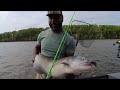 Brackish Water Blue Catfish on the James River | Hellcat Revenge Rods ft. Greg Blue (4Reel Fishing)