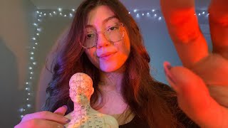 ASMR With an Acupuncture Doll 🤍 Fast Tapping, Massage, Scratching, Gripping +