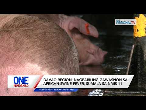 Davao Region, nagpabiling gawasnon sa ASF, sumala sa NMIS-11I One Mindanao