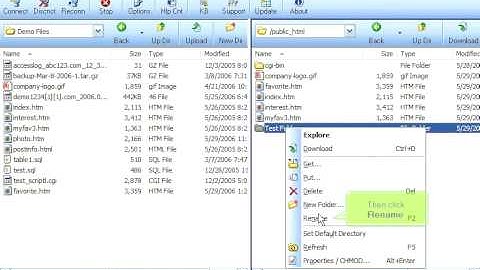 Managing files in FTP Voyager