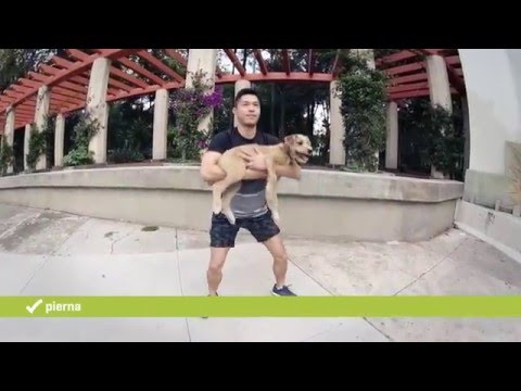 Video: Ejercicio Con Su Perro 101
