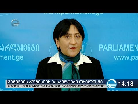 ვენეციის კომისიას ოპოზიციაც შეხვდა