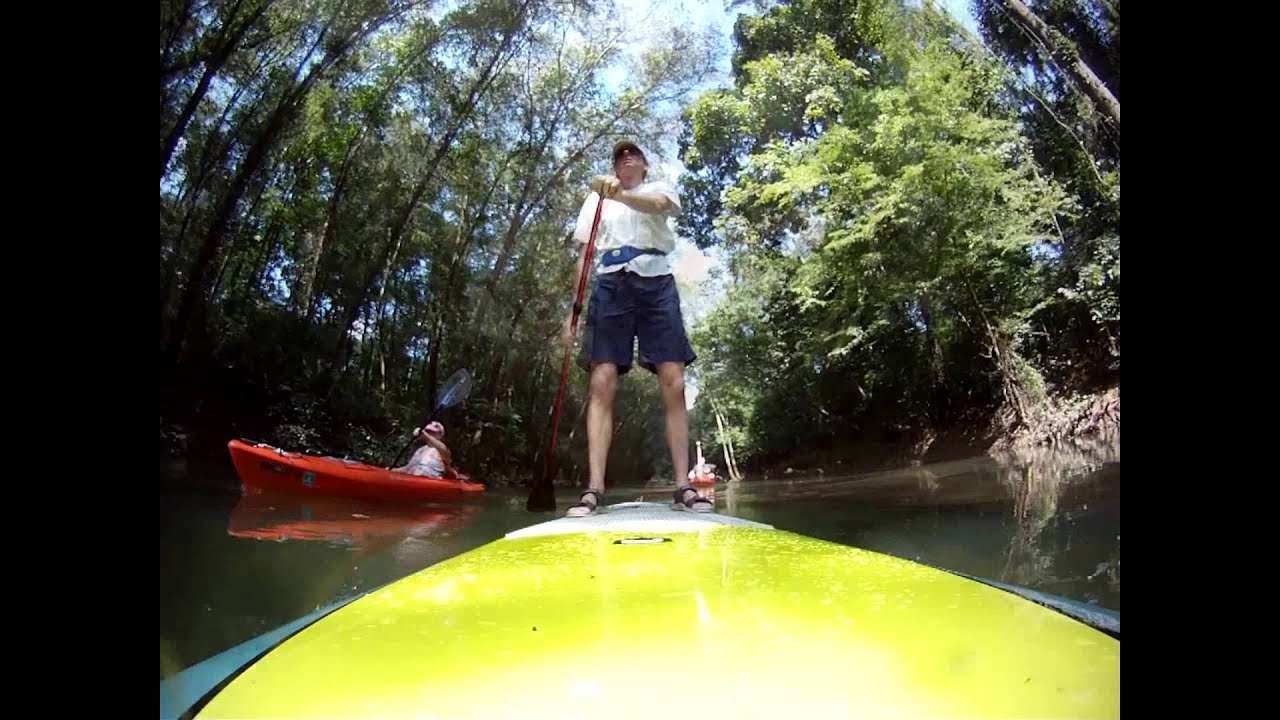 Paddling North Chickamauga Creek: Thrasher Pike to Boy Scout Road
