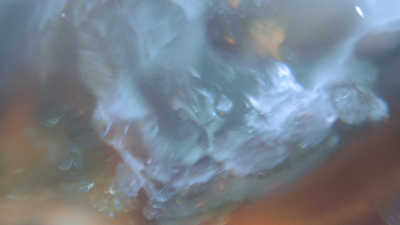 SÚA FT NAZARENO GUTIERREZ - NO COMPARES CHE