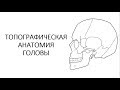 Топографическая анатомия головы. Часть 2.