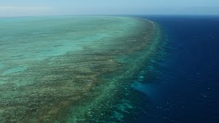 Australia spends big to save Great Barrier Reef