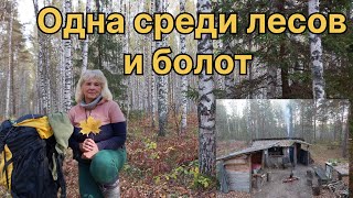 картинка: В ИЗБУШКЕ ПОСЕЛИЛИСЬ ОПАСНЫЕ ЖИЛЬЦЫ. ВЫРУЧИЛ ДОМИК У ОЗЕРА. 