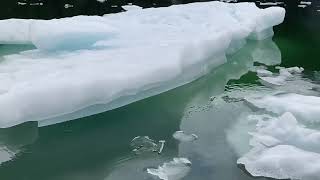 LeConte Glacier Tour | Petersburg Alaska