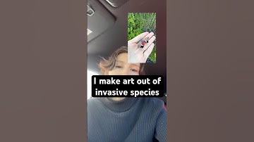 #art #spottedlanternfly #entomology #scienceart #bugart