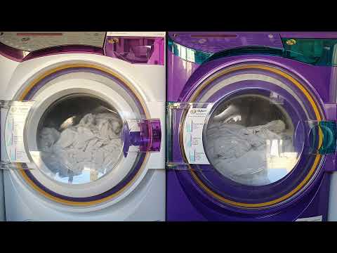 Dyson Washing Machine Wash Race CR01 1 Contrarotator 1 Regular Washer
