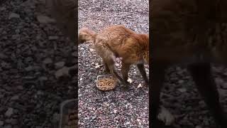 That Escalated Quickly .