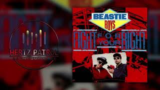 Beastie Boys Fight For Your Right 432hz