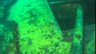 Immersione Relitto Coltri