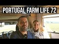 WILL Mother Hen FOSTER Incubated CHICKS? - Portugal Farm Life 72
