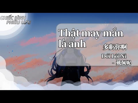 【Vietsub + Pinyin】Thật may mắn là anh - Đới Bội Ni| 多虧你啊 - 戴佩妮