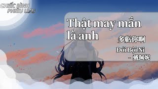 【Vietsub + Pinyin】Thật may mắn là anh - Đới Bội Ni| 多虧你啊 - 戴佩妮