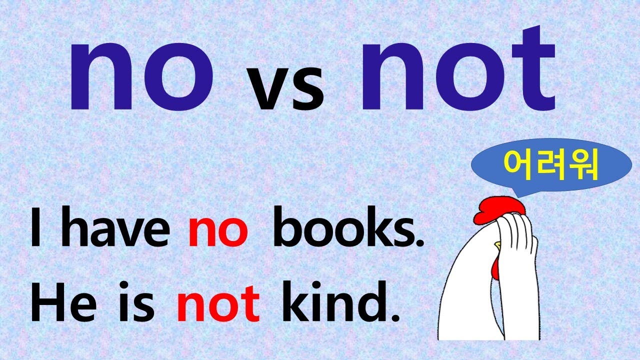 no와 not의 차이점  [어순]