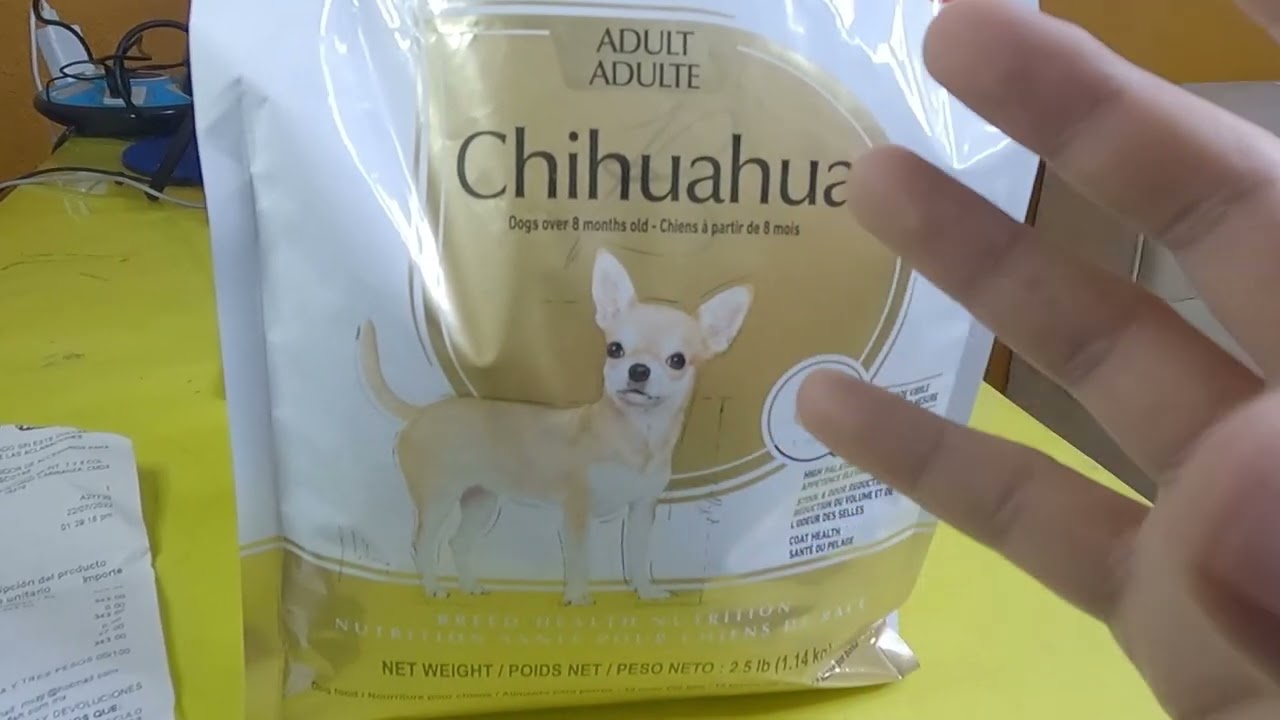 Royal Canin para chihuahua ¿Vale la pena por su precio? - YouTube