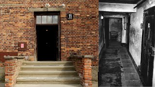 The Brutal Torture Of Auschwitz Block 11