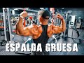 RUTINA DE ESPALDA (TOCA TODAS LAS ZONAS) | Gymtopz