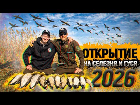 Охота на Гуся и Утку 2026🔥Открытие весенней охоты в Беларуси❗️