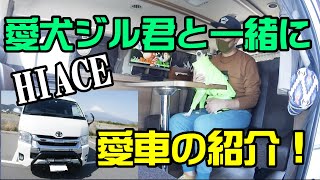 【ハイエース】愛犬パグとイタグレと愛車紹介