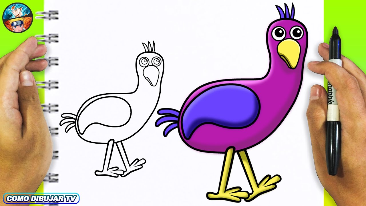 Como DIBUJAR a OPILA BIRD - Como DESENHAR o OPILA BIRD