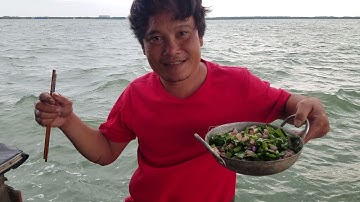 Ra biển thả cào. bắt tôm sống 