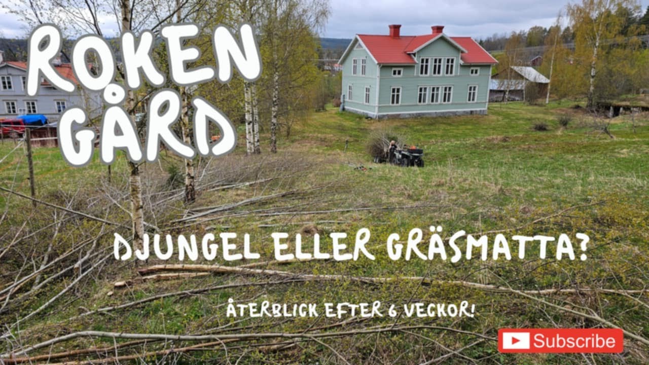 Roken gård - Djungel eller gräsmatta?