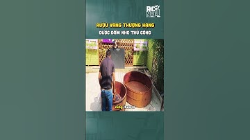 Rượu vang thượng hạng được dẫm nho thủ công #riconviu