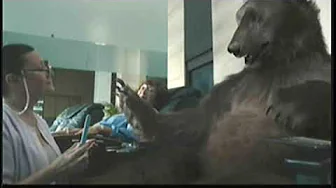Interac   Sleeping Bear
