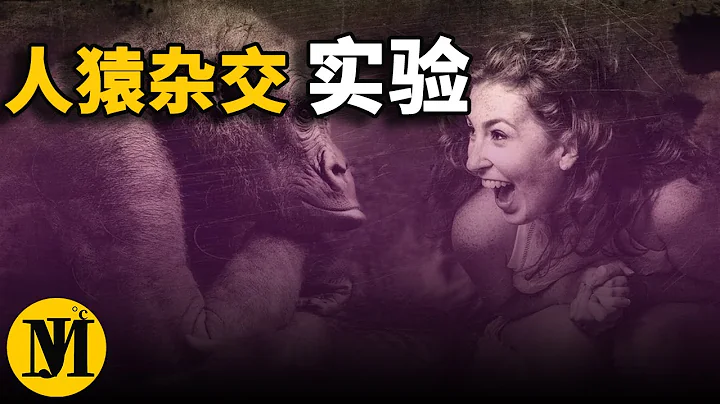 「人猿雜交」實驗，黑猩猩慘死，五名蘇聯女性生出的怪物跟神秘「雪人」有關係? | 零度解密 - 天天要聞