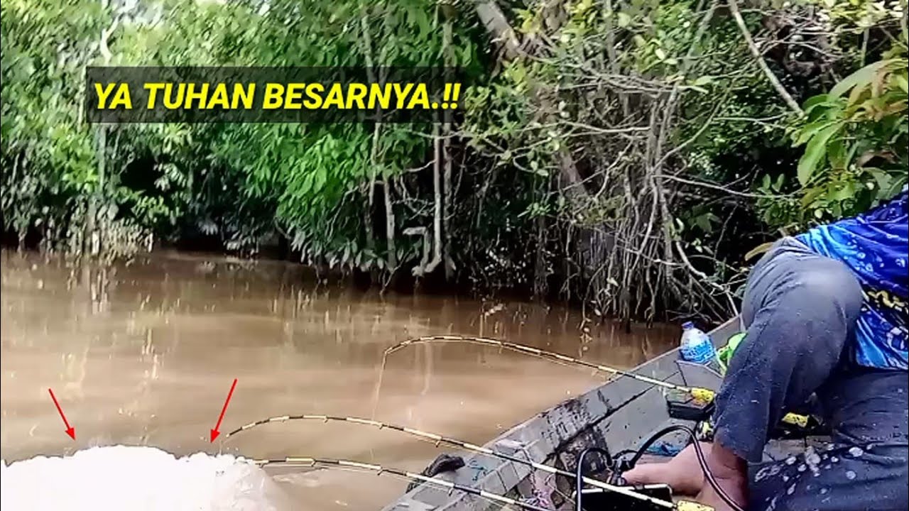 BERGEGAR.!! HANYA ORANG NEKAT YANG MAU MANCING DISINI.!! MANCING UDANG GALAH 